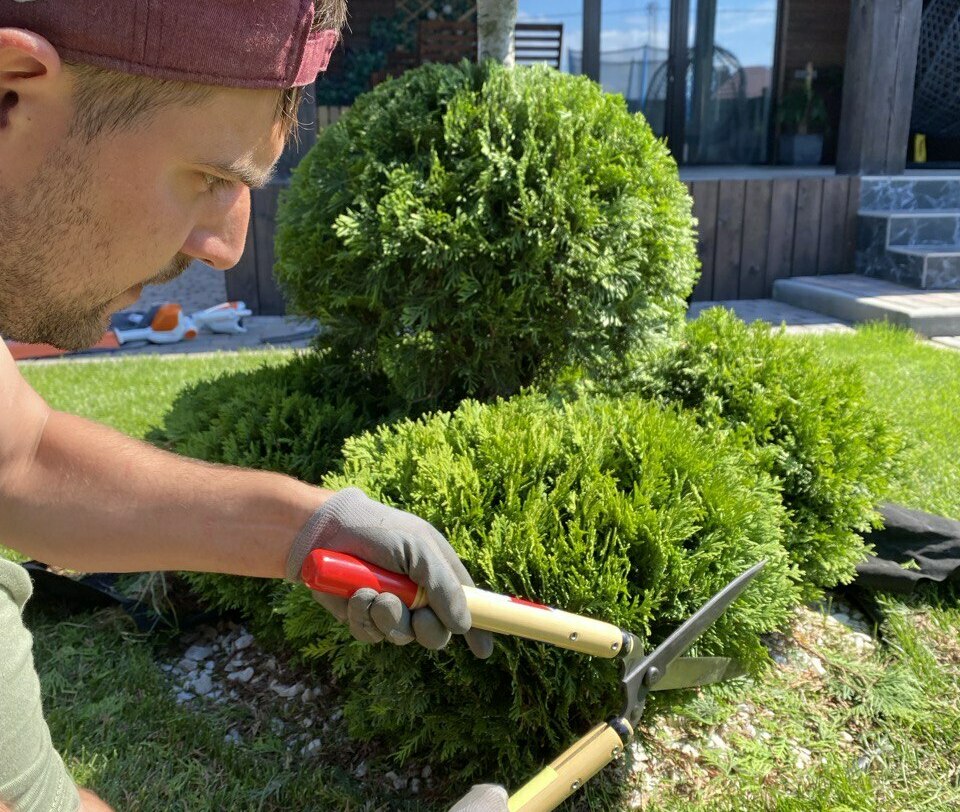 УСЛУГИ САДОВНИКА