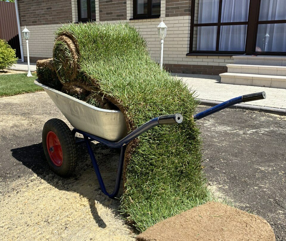 РУЛОННЫЙ ГАЗОН