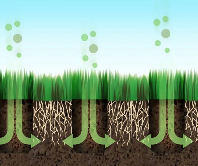 ВОССТАНОВЛЕНИЕ ГАЗОНА