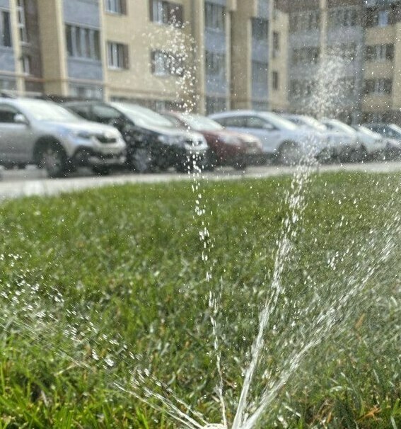 системы автоматического полива системы автоматического полива