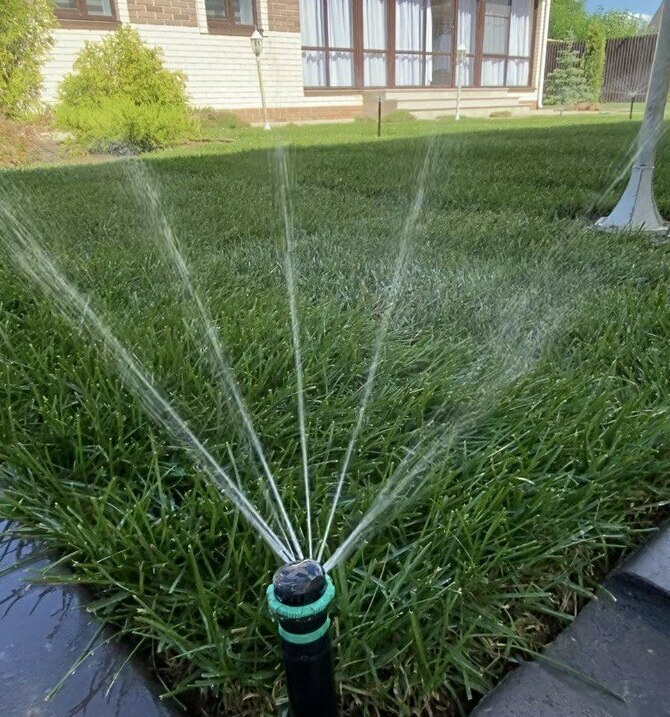 реконструкция старого ландшафта реконструкция старого ландшафта